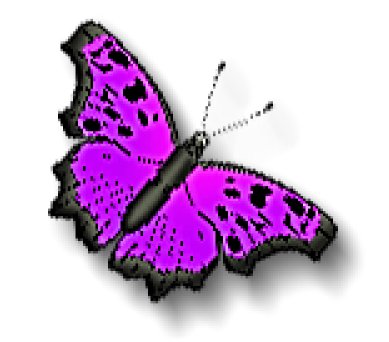 Butterfly4.jpg